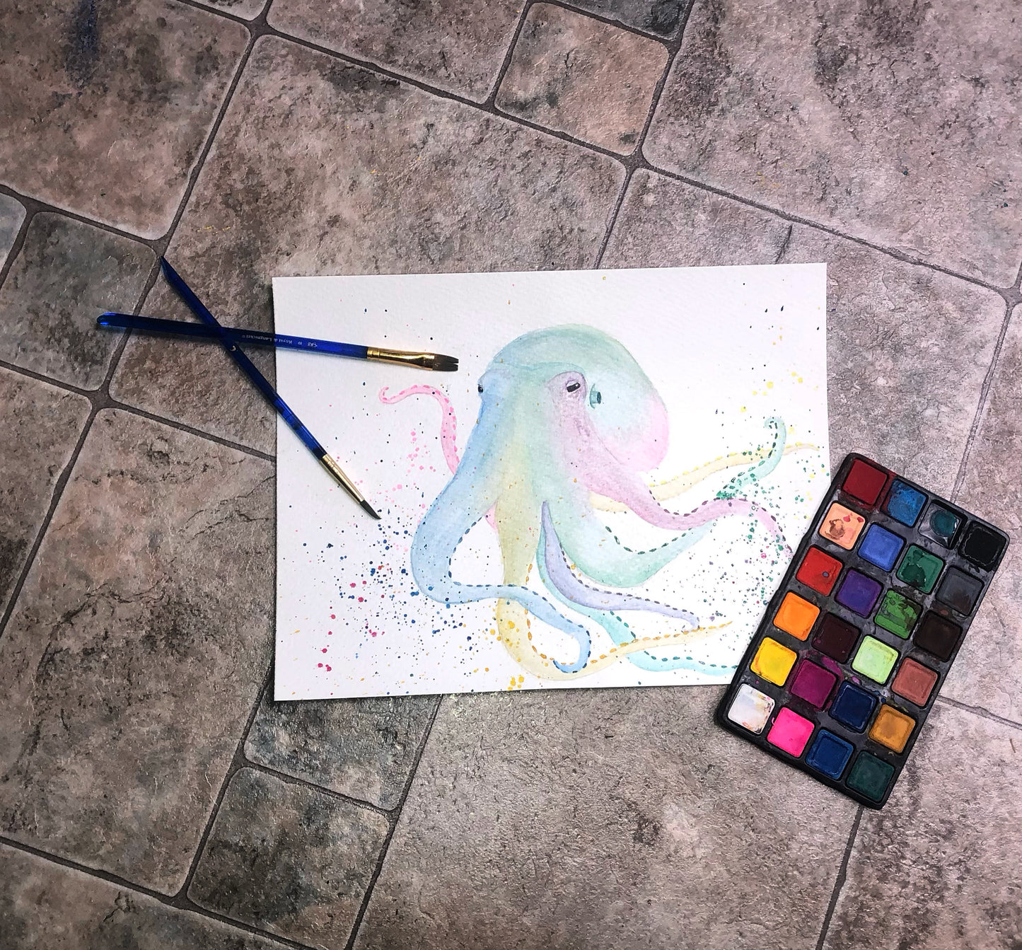 Chromatic Cephalopod